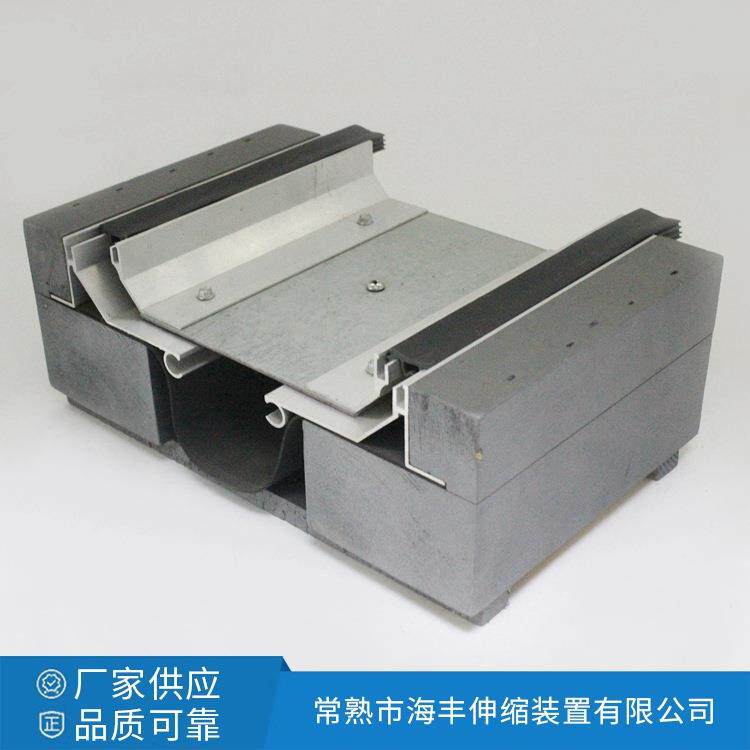 地面抗震型变形缝SFFS-100 铝合金变形缝 建筑专用变形缝装置