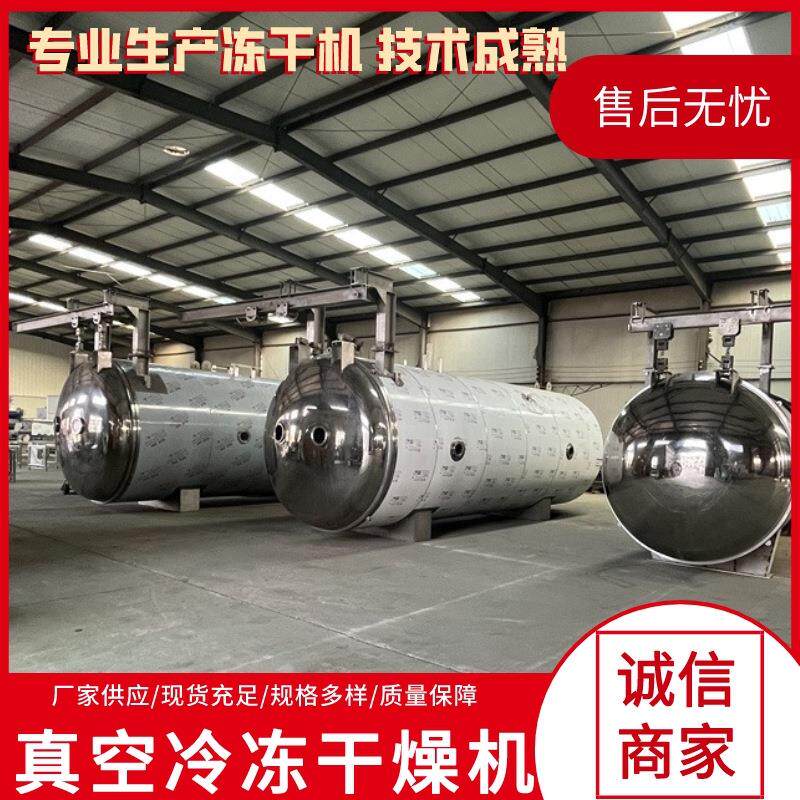 自动化大型真空冻干机 鱿鱼须低温脱水冻干设备 紫丹参冷冻干燥机