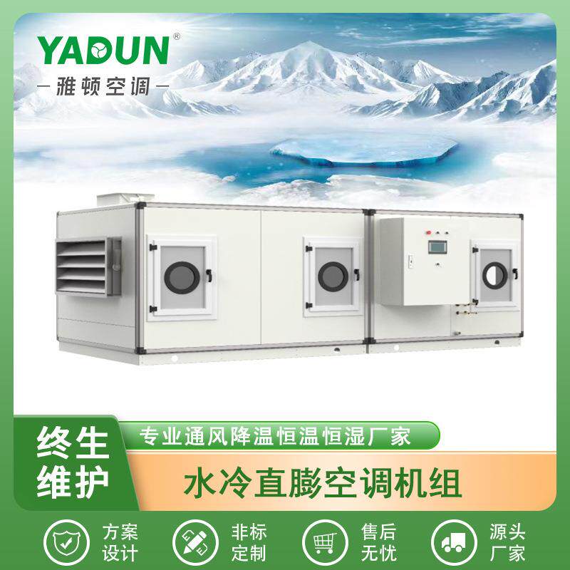 厂家销售水冷直膨空调机组低霉点组合式转轮除湿机组4/6/8排