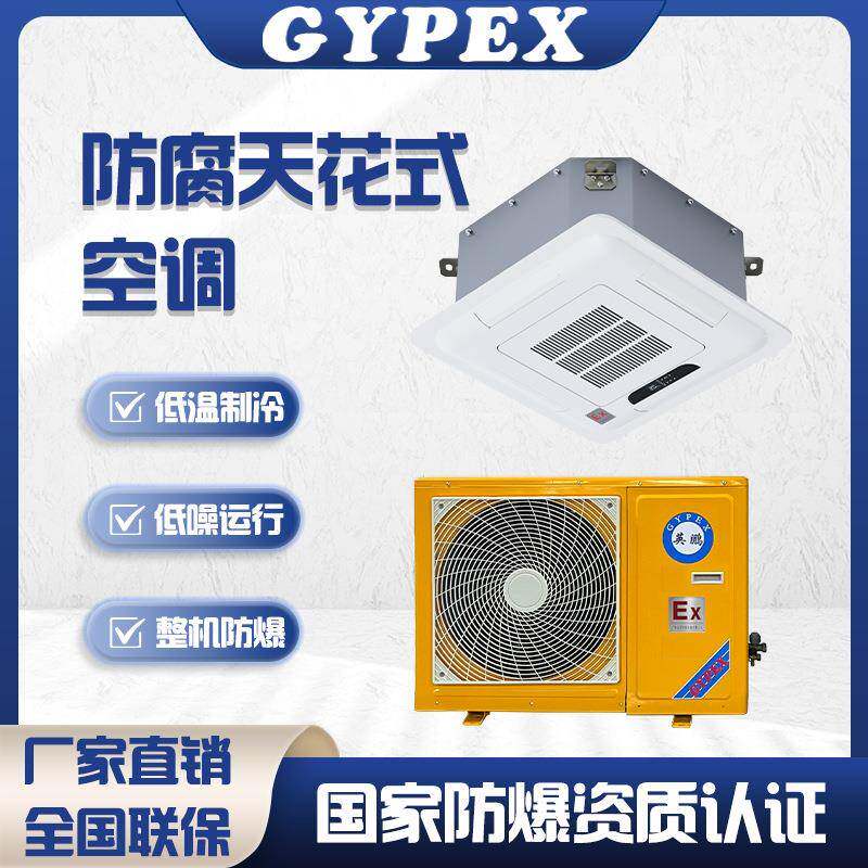 防腐空调工业防腐蚀高腐蚀性实验室吸顶天花机耐腐蚀造纸造船