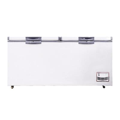 卧AAN式冰柜卧式冰容箱冷柜大柜双温藏冷冻商用家用冷大量冷冻冰