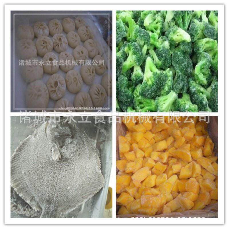 洋葱圈速冻机 鸡米花隧道式压缩机速冻线 大产量加工定制