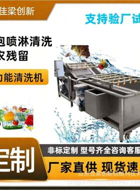 全自动净菜加工清洗机山楂枸杞无花果辣椒气泡清洗设备厂家直供