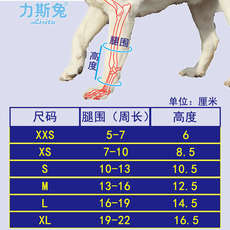 Носки для животных