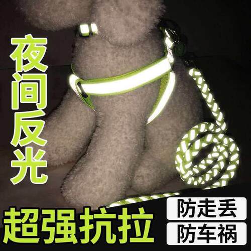 狗狗牵引绳狗背心式遛狗小型犬狗绳中型犬夜光反光狗炼子拉布拉多