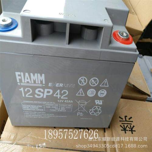 非凡蓄电池12V42AH铅酸FIAMM12SP42直流屏UPSEPS太阳能储能电源