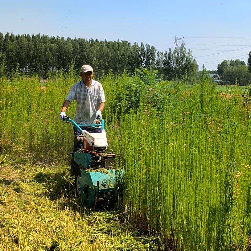 荒野杂草快速粉碎机 果园园林清理柴油割草机 耐用碎草还田机
