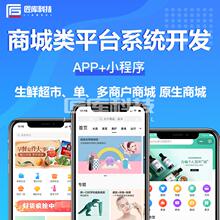 商城APP开发定制微信商城小程序二三级分销系统商城软件定制开发