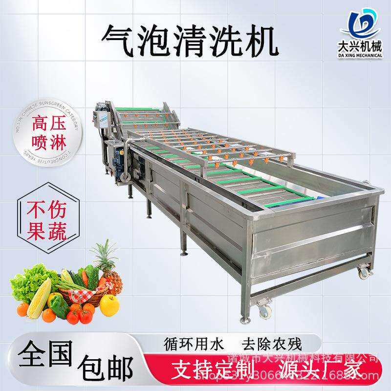 蕨菜气泡清洗机加工设备山野菜喷淋清洗机价格香椿刺老芽清洗机