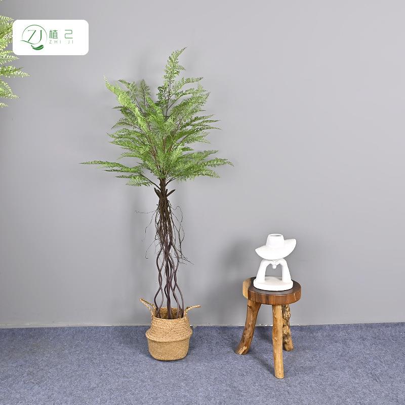 仿黑骨芒蕨树家居装景商场真橱窗工程源OUT头厂家一件软黑造骨芒