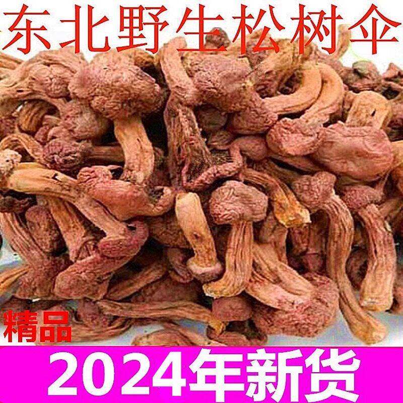 东北特产红蘑 野生红蘑菇干 干货 松树伞松蘑菇肉蘑钉菌250g全国