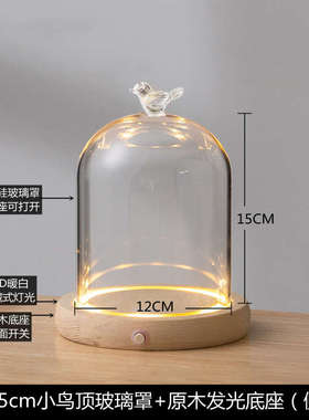 创意永生花顶饰玻璃罩人偶手办盲盒 火树银花小夜灯 侧开发光摆件