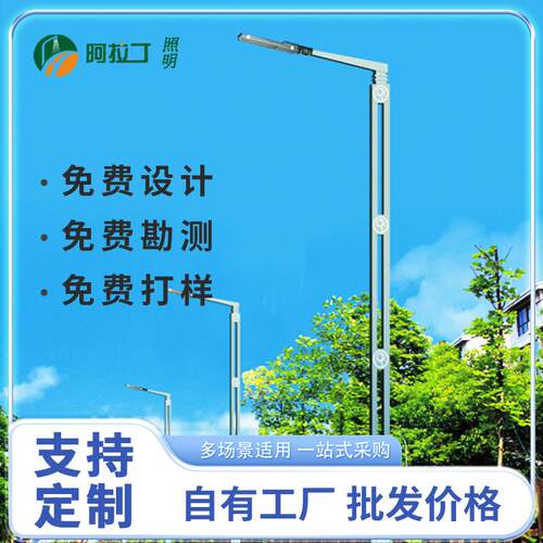 户外LED市电路灯大功率市政工程照明高杆灯农村道路6米防水路杆灯