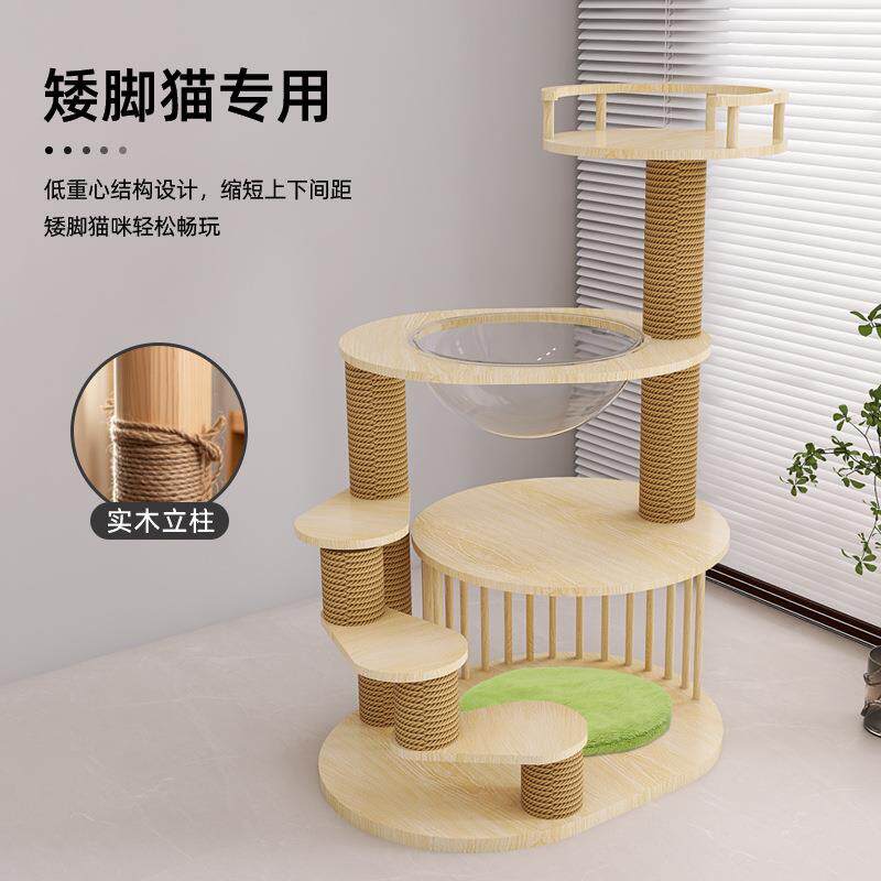 矮脚猫爬架实木小型低层幼猫专用猫爬架小户型不占地耐磨不掉屑