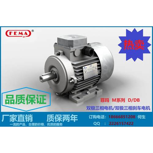 供应FEMA菲玛M系列双极三相电机/双极三相刹车电机D/DB