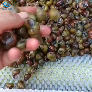 厂家供应牡蛎清洗机辊刷式扇贝毛蛤去泥机全自动田螺钉螺清洗机