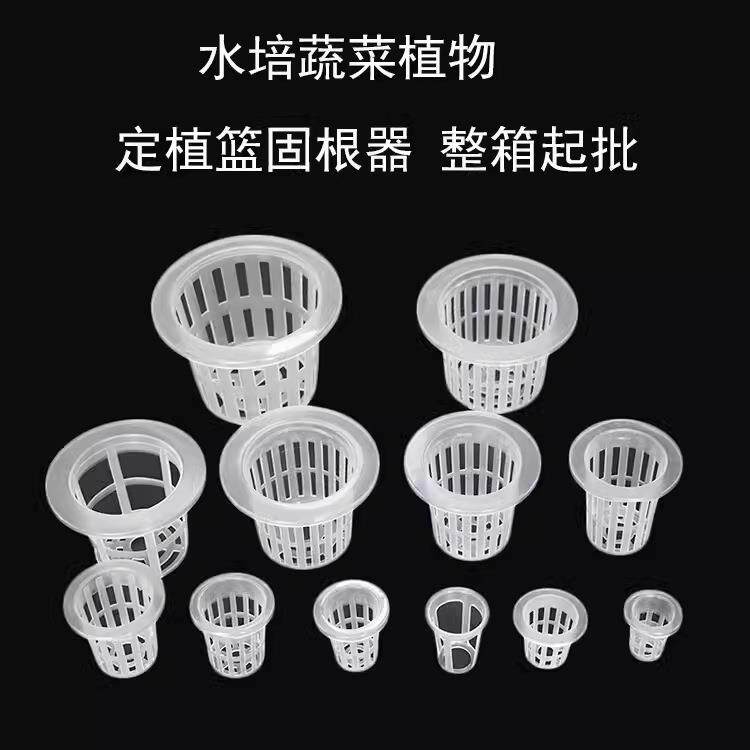 水培定植蓝种植杯无土栽培定植篮塑料杯水培固根器水培篮蔬菜