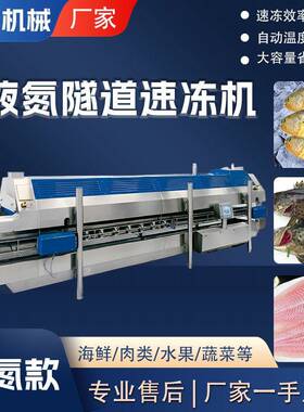 商用全自动果蔬丁急速保鲜速冻机低温冷冻梅子用液氮式隧道速冻机