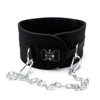 Weighted Pull Up Belt & Chain Double D-Ring Gym Lifting