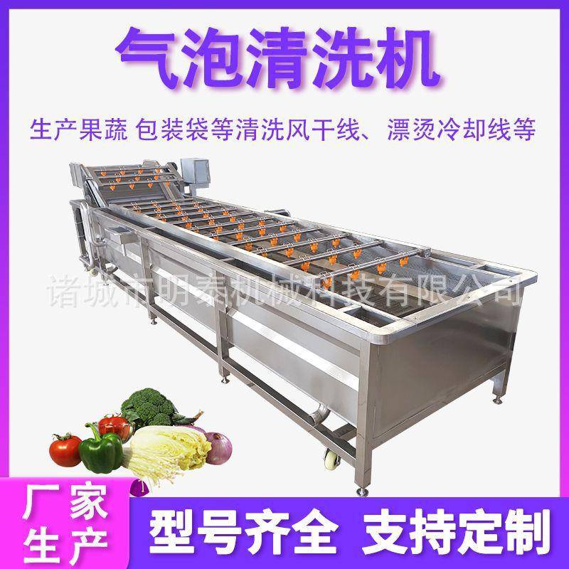 小龙虾超声波清洗机魔芋爽素毛肚加工设备樱桃果蔬气泡清洗机