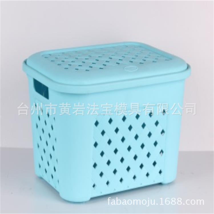 蓝色藤条镂空储物箱模具带盖子塑料箱收纳箱模具生活用品模具