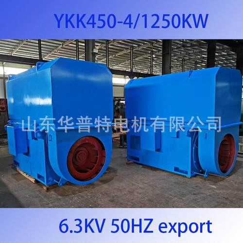 出口欧洲Y450-4/1250W6300v，B3压电机SF轴承IC611