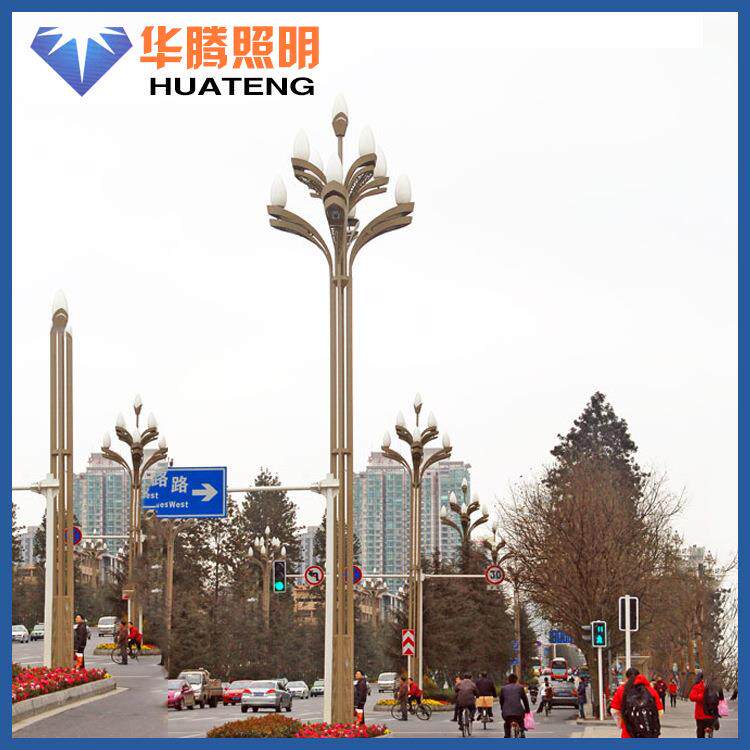厂家扬州路灯公园道路led景观灯玉兰灯中华灯道路灯