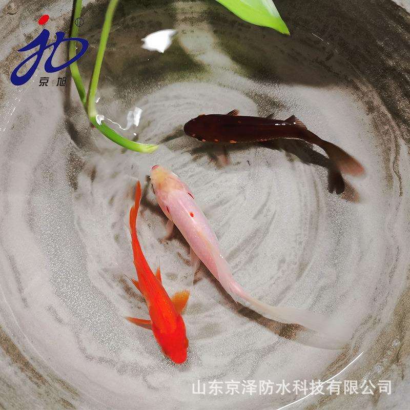 现货建筑防水材料聚合物水泥防水涂料柔性JS复合防水涂料