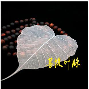 天然树叶标本玉兰叶脉树叶书签diy材料包手工自制叶脉干花道具