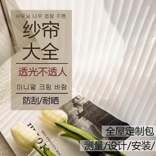 网红窗帘窗纱成品定制透光不透人防刮耐磨防晒幻影纱金刚纱百叶纱