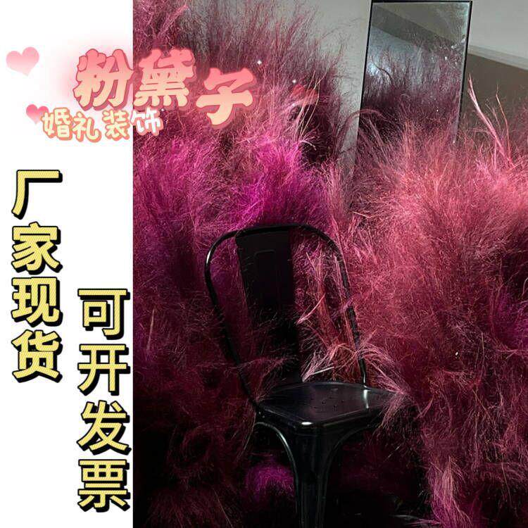 网红粉黛乱子草干花真花高级感花艺摆件会场布置背景装饰物婚礼