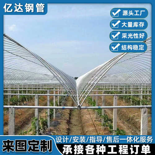 种植大棚全套大棚骨架温室连栋组装简易蔬菜棚定制养殖大棚骨架