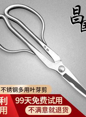 昌国不锈钢多功能剪刀叶芽剪铝线 线剪插花剪小枝叶剪修枝剪盆景