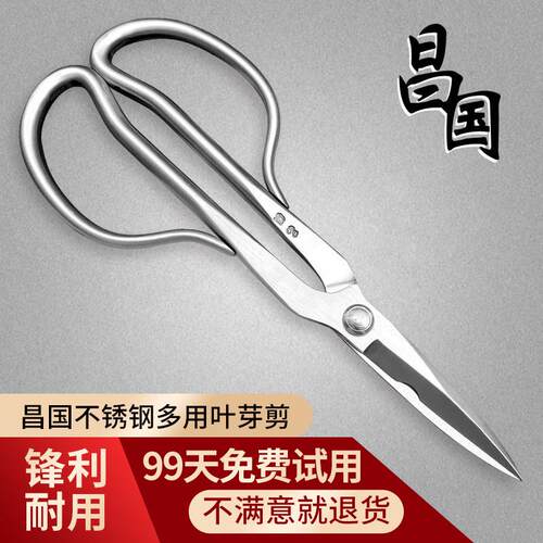 昌国不锈钢多功能剪刀叶芽剪铝线 线剪插花剪小枝叶剪修枝剪盆景