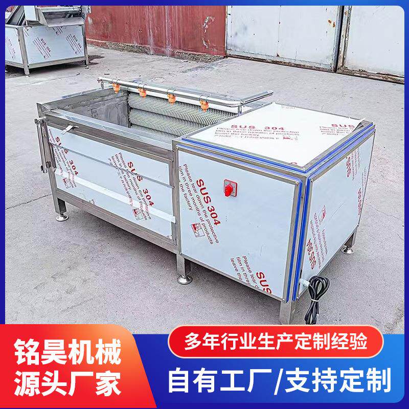 毛辊清洗机红薯去皮清洗机猪蹄羊蹄清洗机芋头u型毛辊清洗设备
