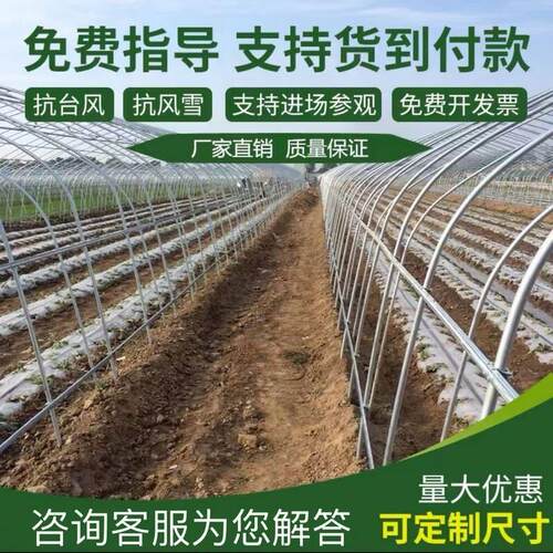 大棚钢管骨架蔬菜大棚热镀锌种植棚温室养殖大棚椭圆管猪鸡棚全套