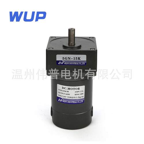 伟普微型直流减速电机82524V310W20W永 磁有齿轮直流刷电机