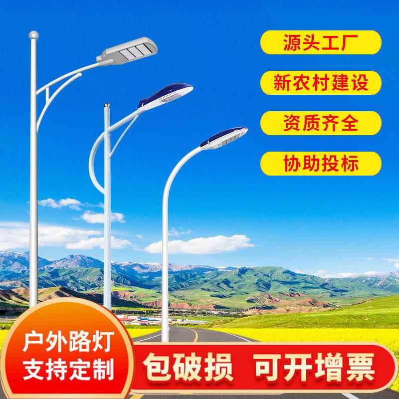 跨境道路路灯杆头7米8米马路市电路灯高亮高低双臂LED路灯户外杆