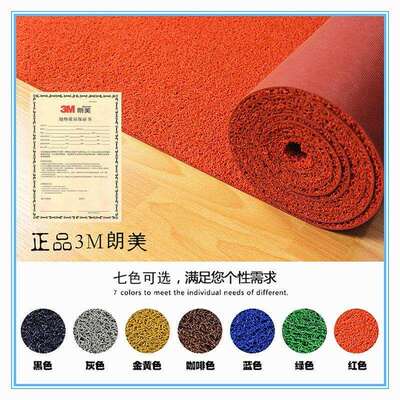 雅地3M郎美6050型地垫国产丝圈防滑除尘酒店迎宾门口脚垫地毯