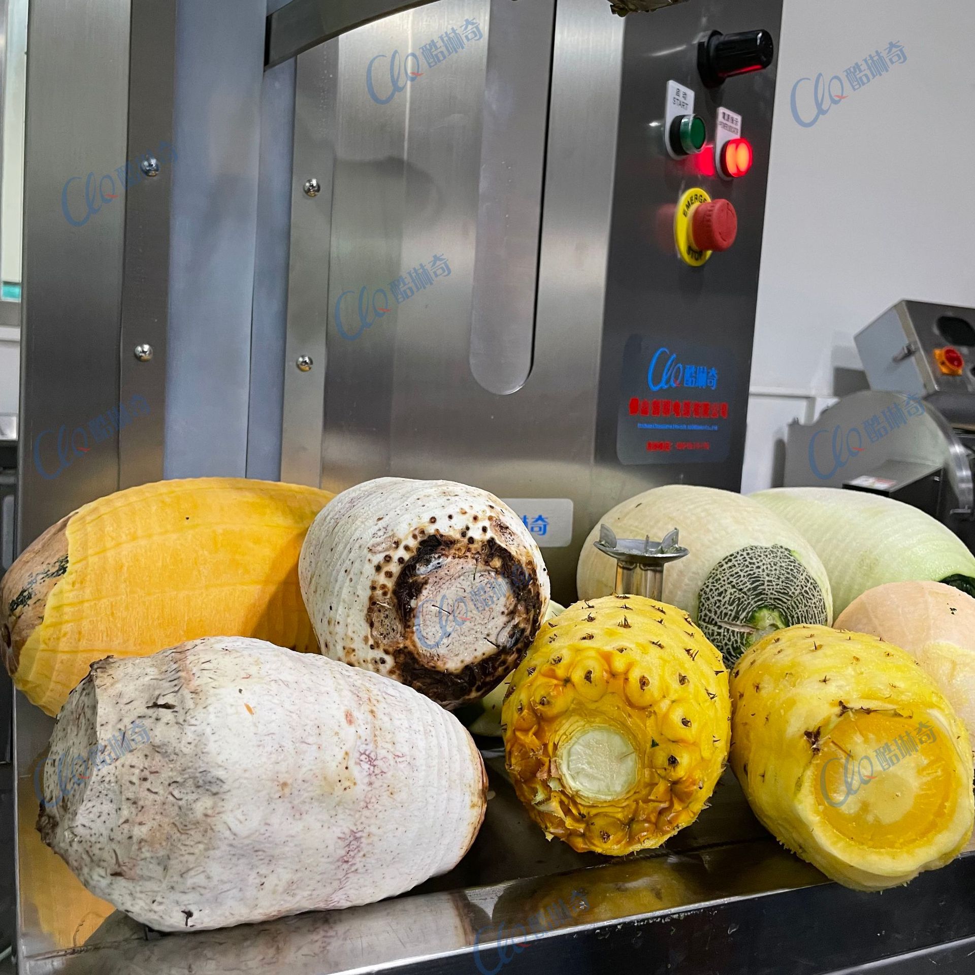 *罐头厂水果削皮机 菠萝蜜哈密瓜南瓜芋头柚子香瓜去皮机设备