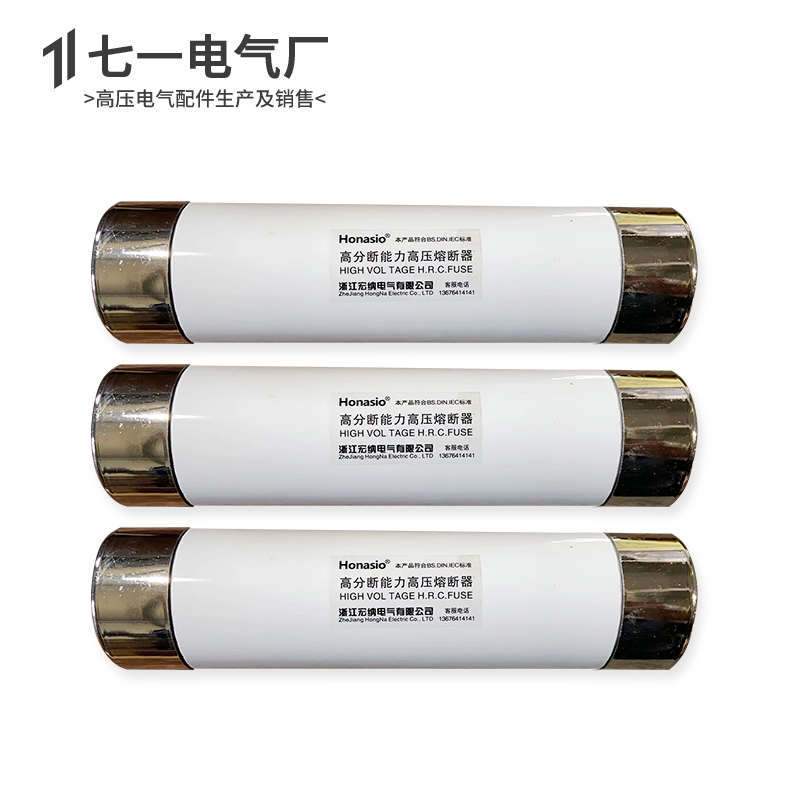 50x195 XRNP1高压熔断器保险熔管PT电压流互感器XRNT 6.3A 10安16