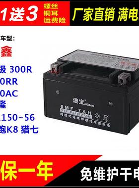 摩托车干电瓶隆鑫无极300R RR AC 劲隆JL150-56领跑K8 猎七蓄电池