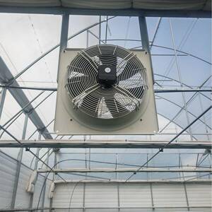 温室风机-专为温室养殖场种植通风设计更静音更耐用环流风机