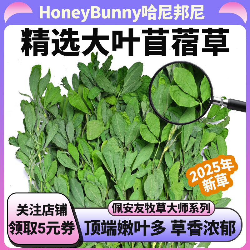 25年烘干苜蓿草干草幼兔子龙猫牧草紫花苜蓿草粮草兔粮草兔子用品