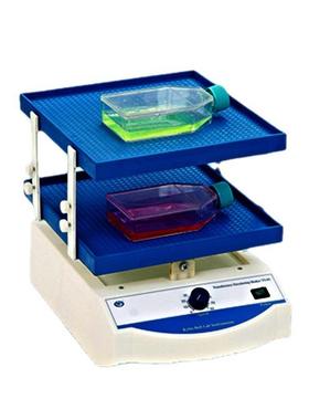 其林贝尔TS-8TS-8SZD-2008/-9550型转移脱色摇床翘板数显摇床