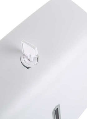 瑞沃PL-151060擦手纸盒厨房抹手纸盒酒店浴室厕所挂壁擦手纸架