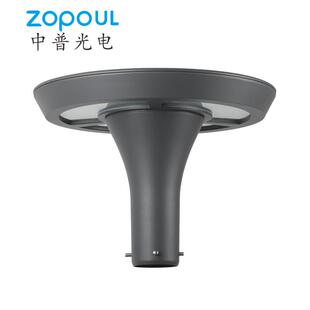 中普光电厂家直供大功率LED高杆灯户外别墅小区感应景观灯3米LED