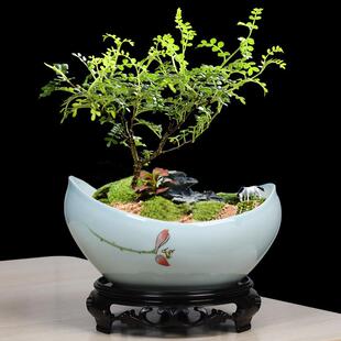 创意手绘多肉花盆青瓷陶瓷复古家用简约大号透气兰花文竹造景盆栽