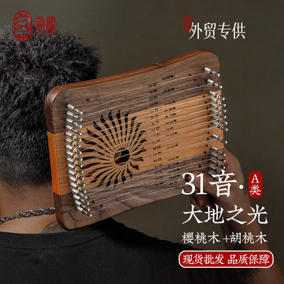 弹小乐新款现货易学音新品初学者儒器鲁31弦琴竖琴指小单板