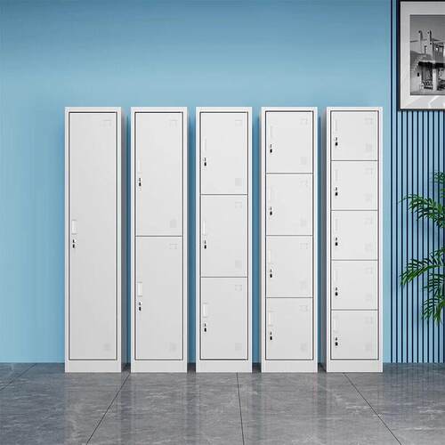 单门更衣柜铁皮柜宿舍带锁员工收纳柜钢制柜更衣箱简易办公室衣柜